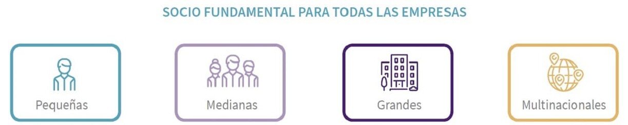 seguros-credito-gestion-impagados-clientes-objetivos